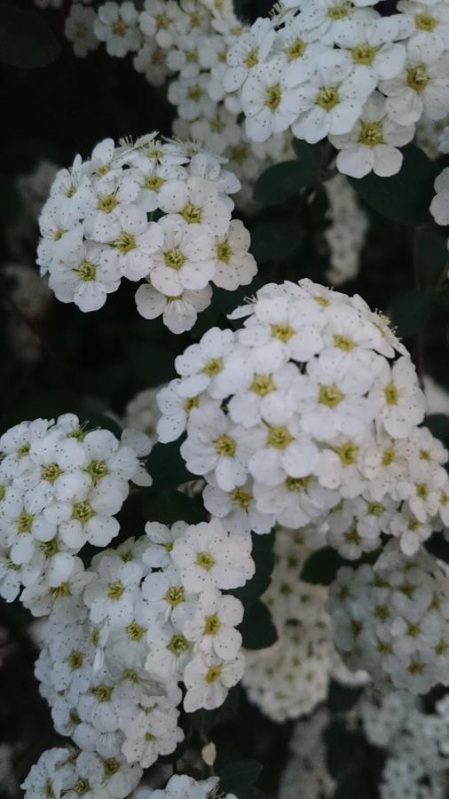 Locanda Delle Noci بيرودجا المظهر الخارجي الصورة