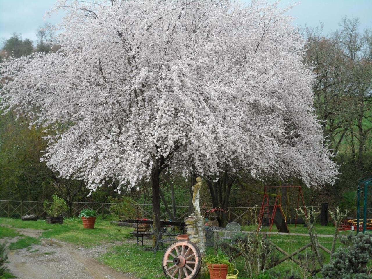Locanda Delle Noci بيرودجا المظهر الخارجي الصورة